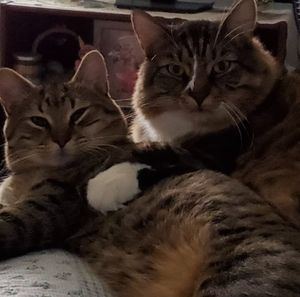 Meet your Posher, Deborah